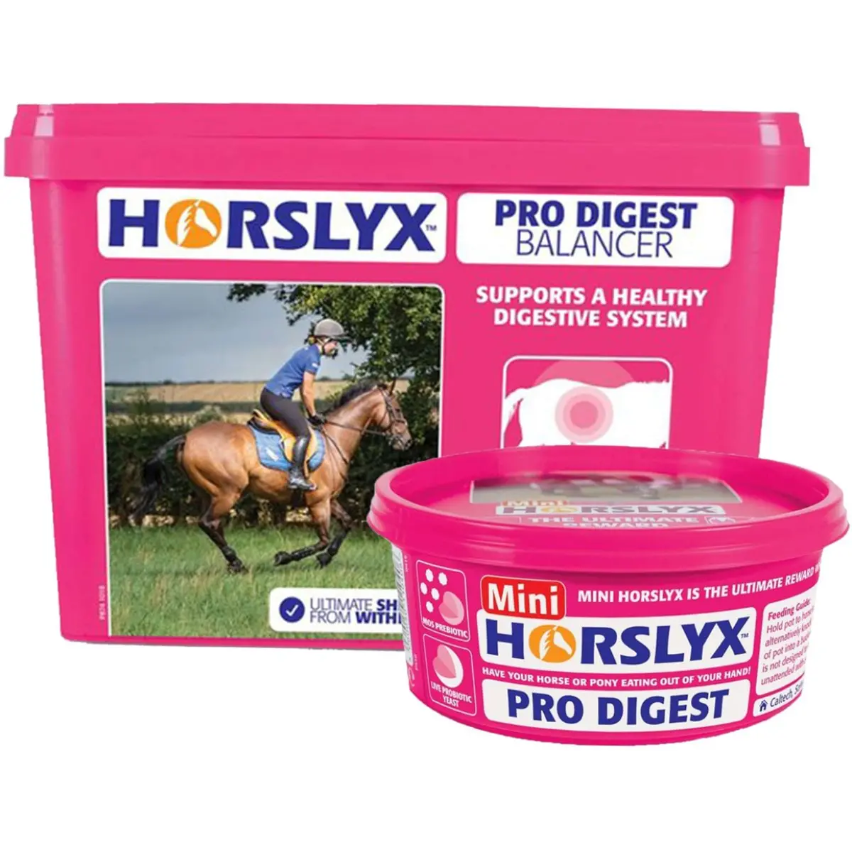 Horslyx Pro Digest Balancer 1