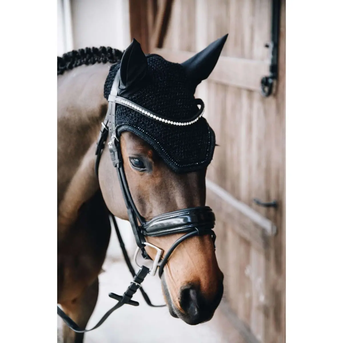 Kentucky Oornetje Wellington Glitter Black 1