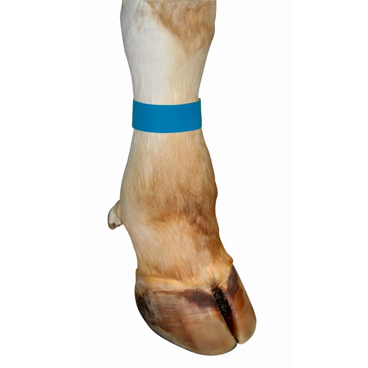 Kerbl Markeringsband Blauw 1