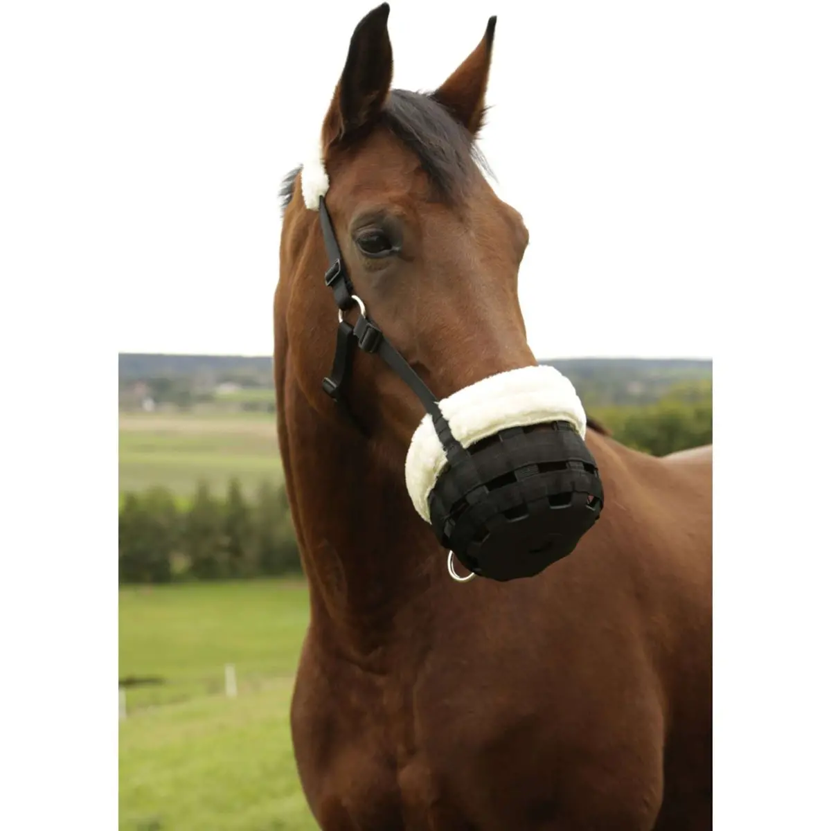 Kerbl Graasmasker Teddy Fleece Zwart 3