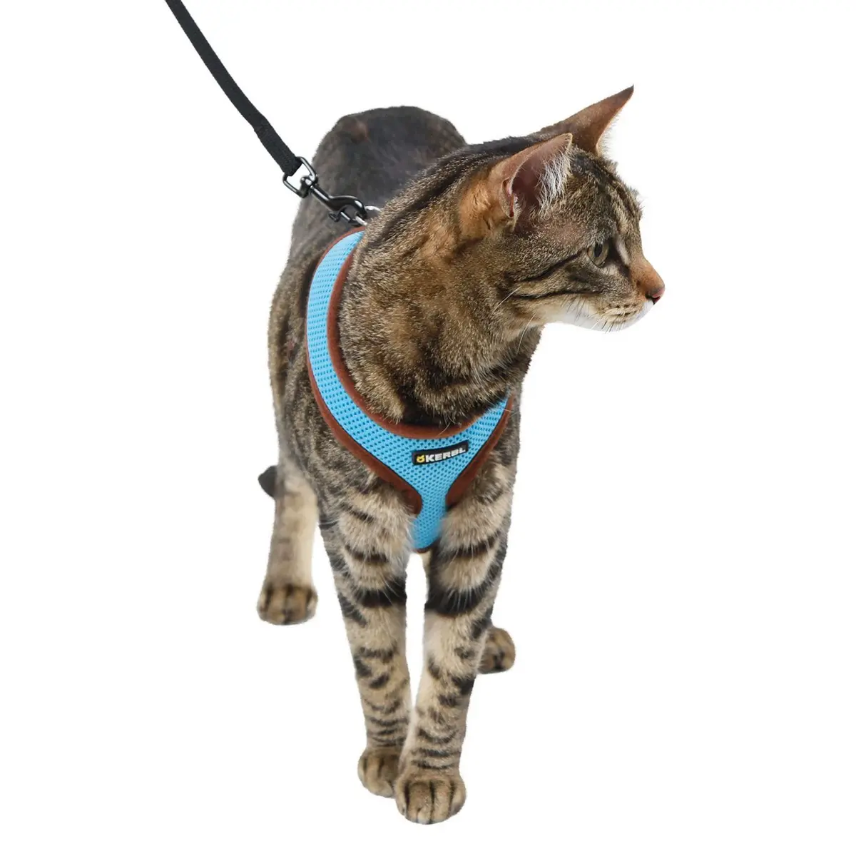 Kerbl Kattenharnas Active Met Lijn Blauw 1