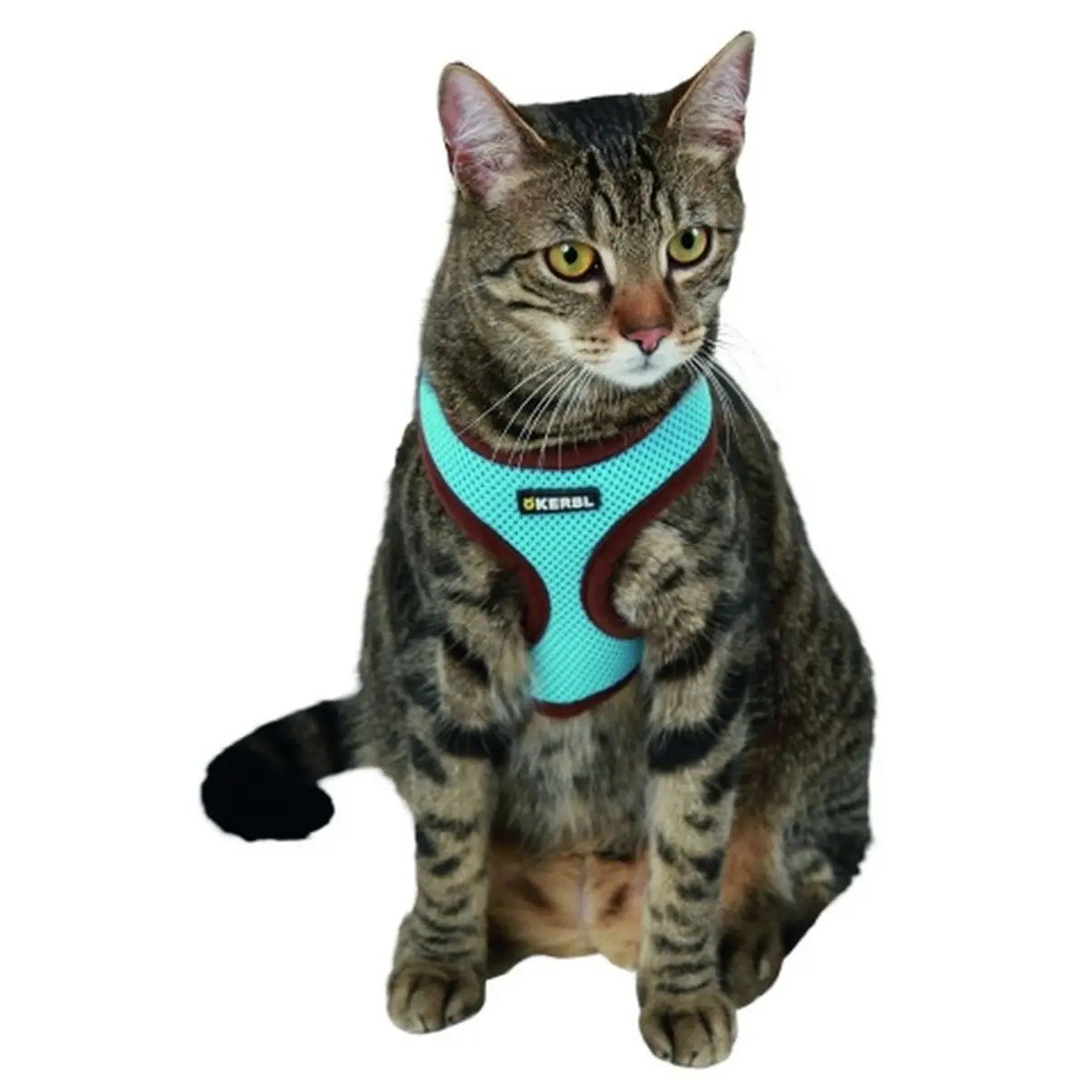 Kerbl Kattenharnas Active Met Lijn Blauw 2