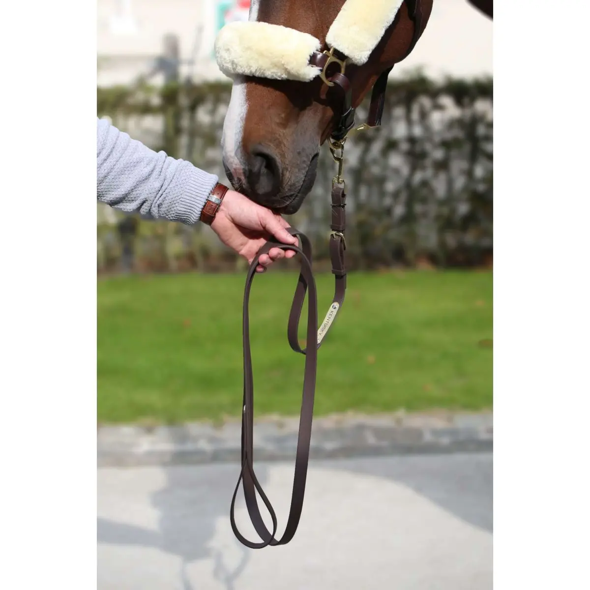 Kentucky Halstertouw Brown 1