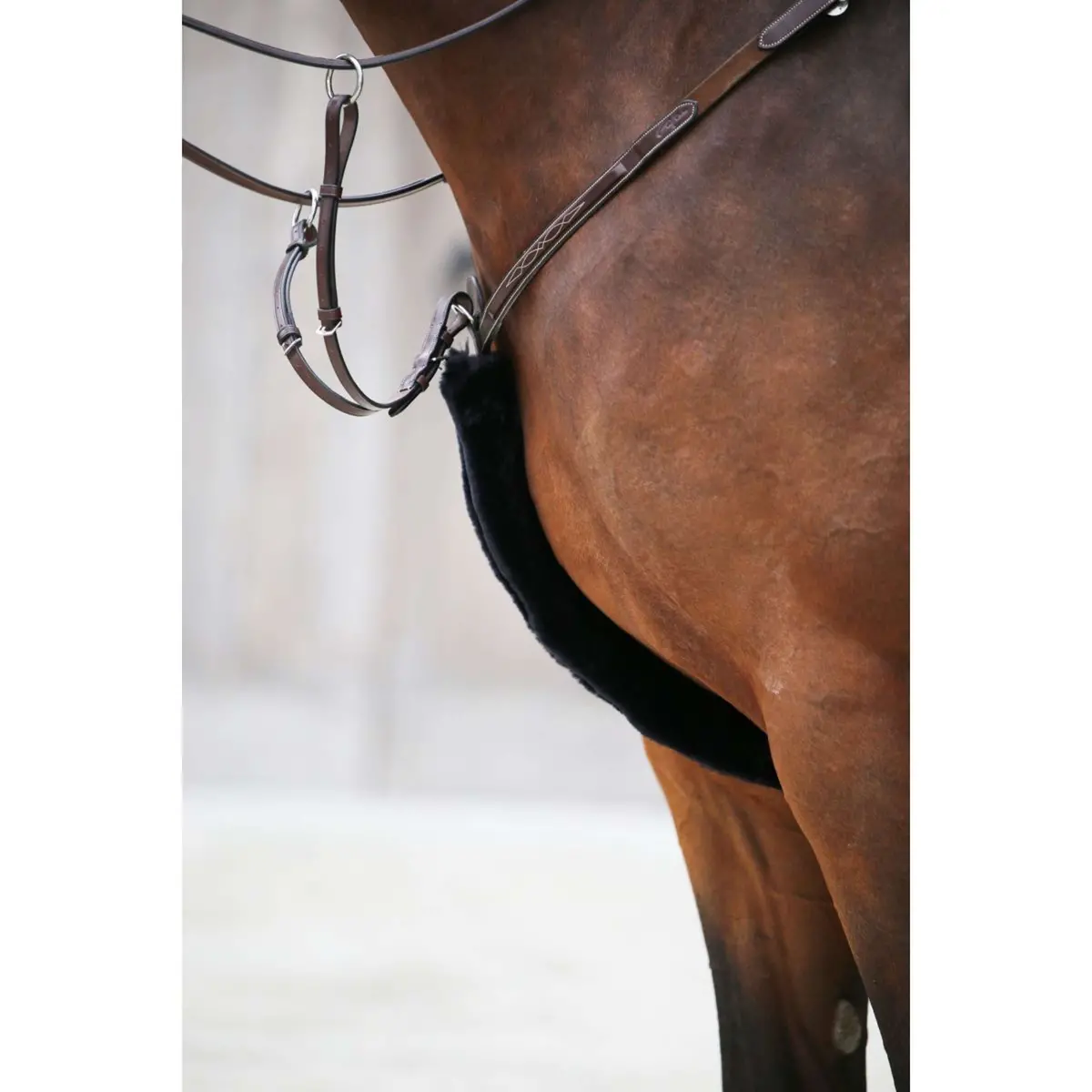 Kentucky Borsttuig Hoes Sheepskin Black 1