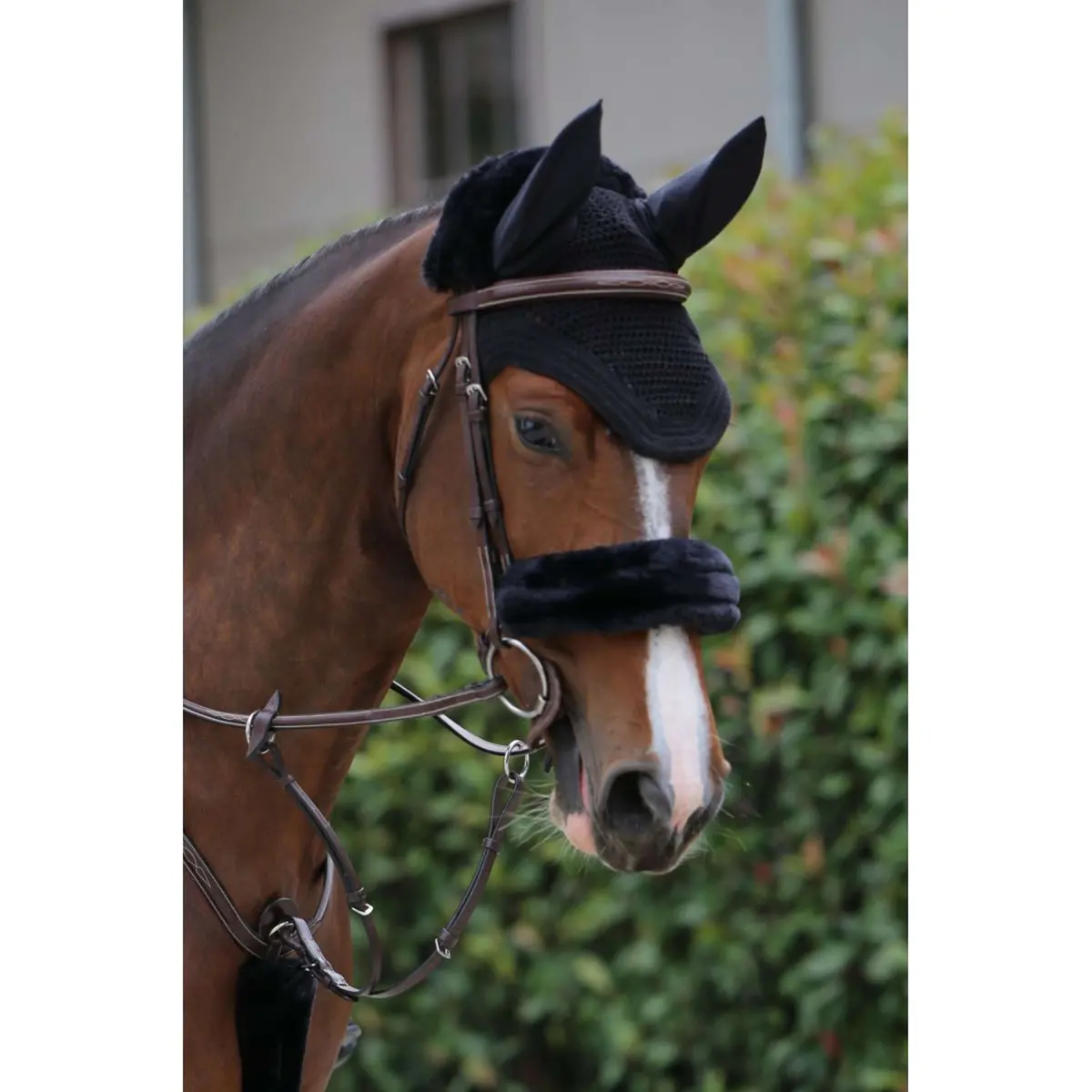 Kentucky Neusriemhoes Sheepskin Black 1