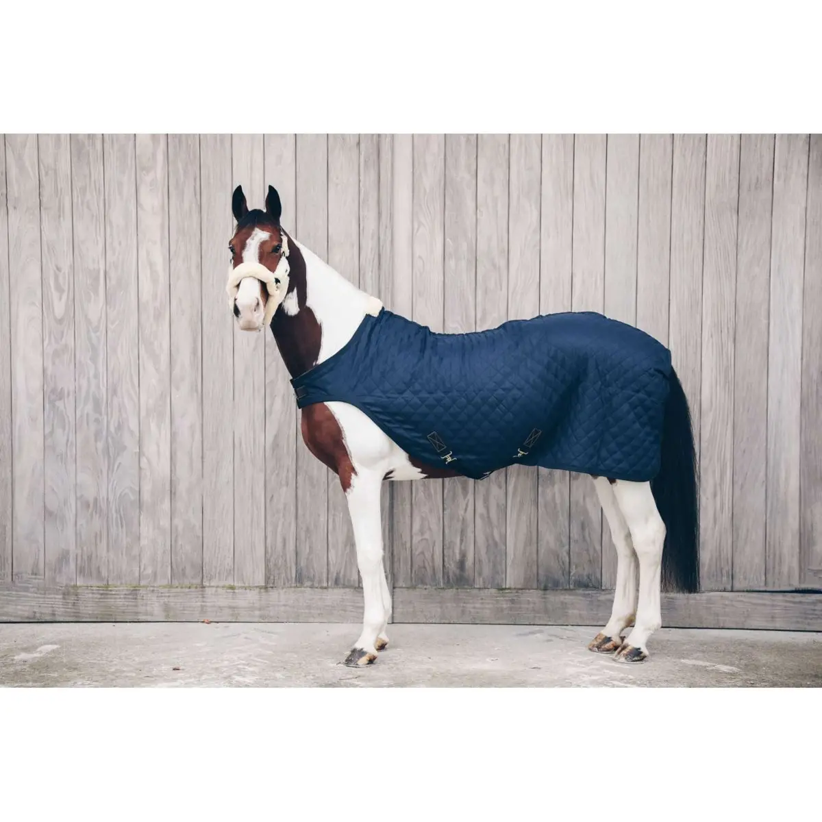 Kentucky Stapmolen Deken 160G Navy 1