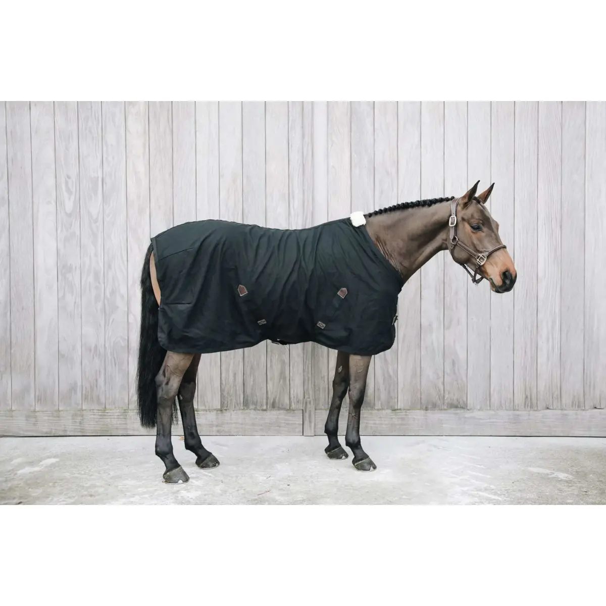 Kentucky Katoenen Deken Black 1