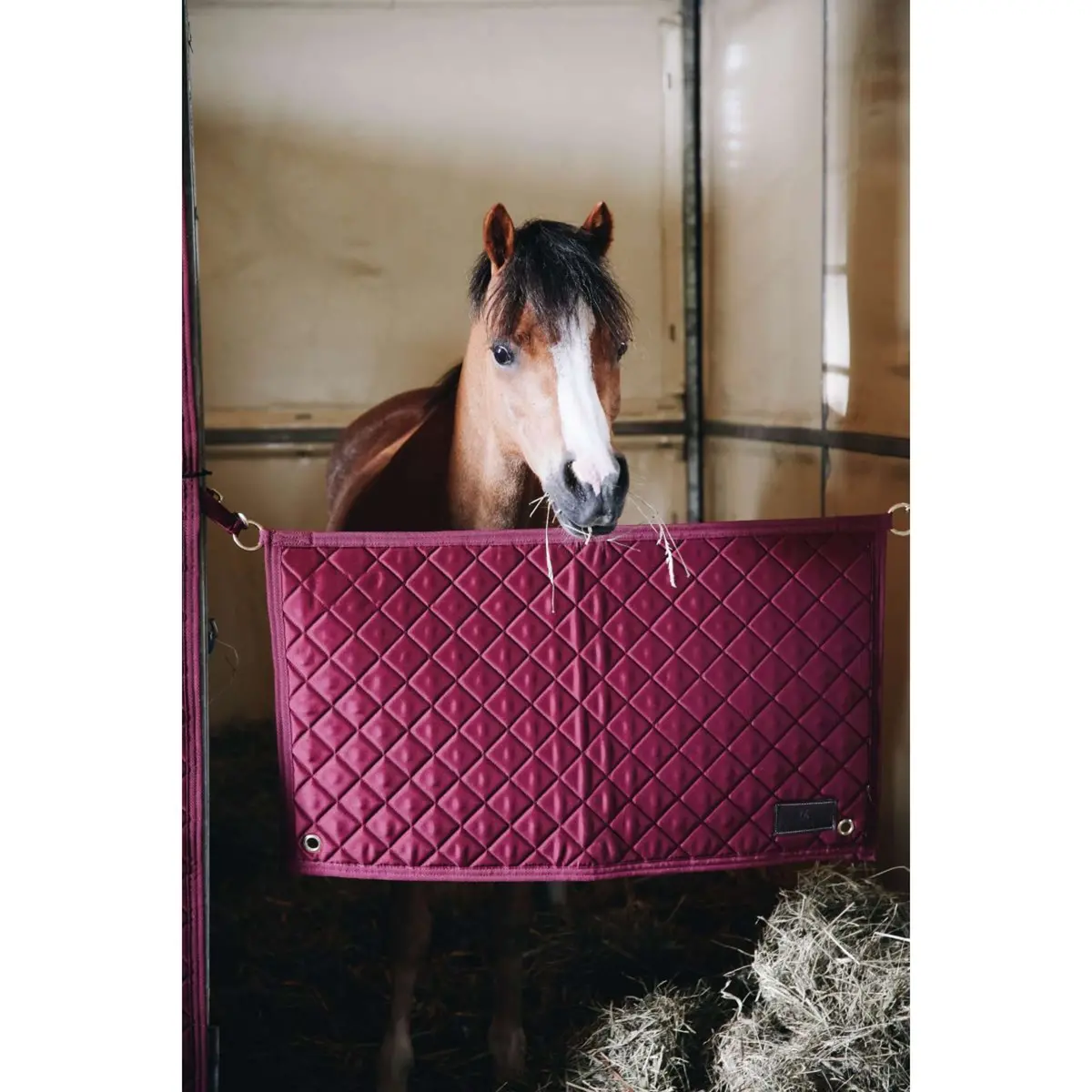 Kentucky Stable Guard Bordeaux 1