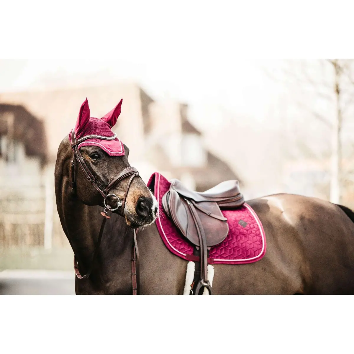 Kentucky Zadeldekje Velvet Springen Fuchsia 1