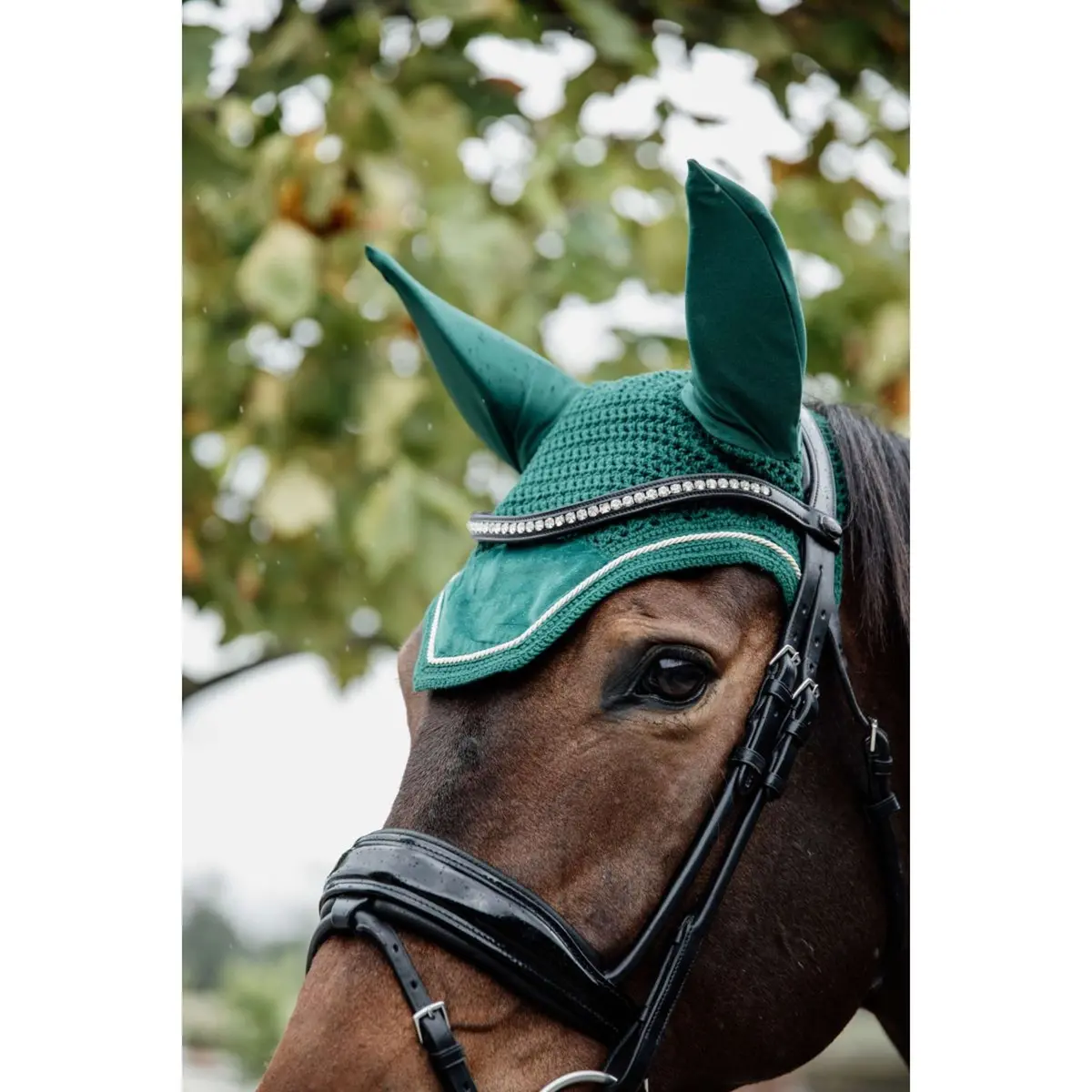 Kentucky Oornetje Wellington Velvet Donkergroen 1