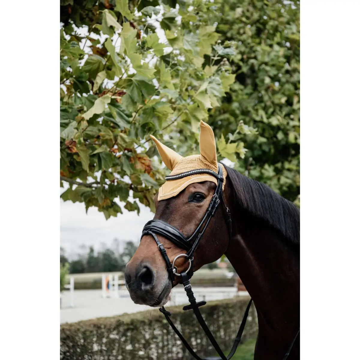 Kentucky Oornetje Wellington Velvet Mosterd 1