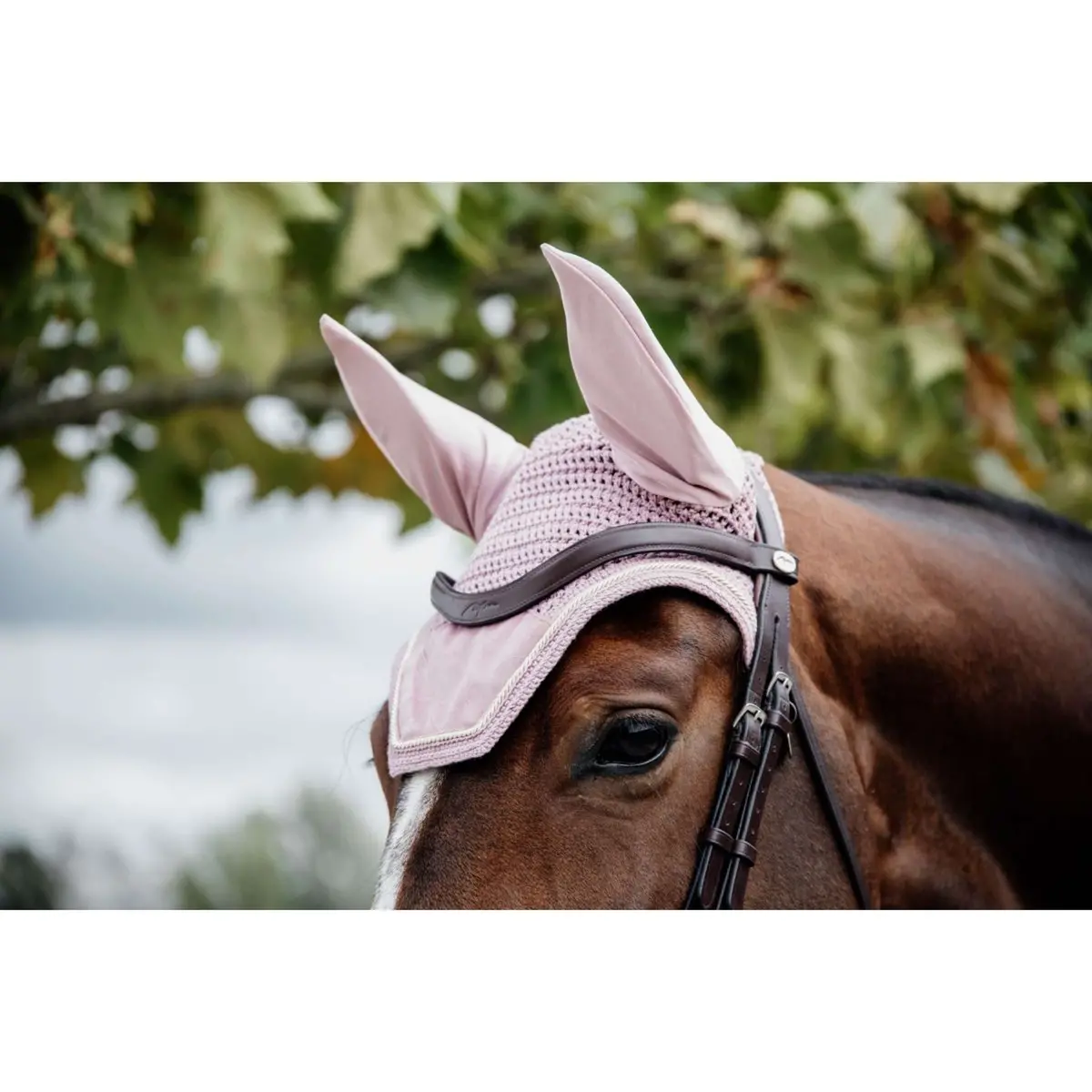 Kentucky Oornetje Wellington Velvet Oud Roze 1