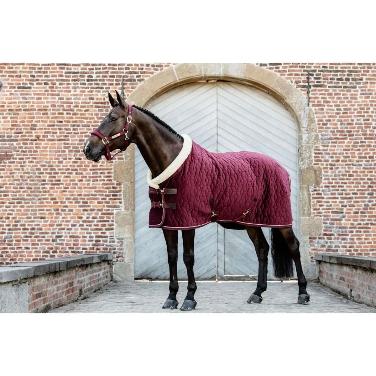 Kentucky Showdeken Velvet 160G Bordeaux 1