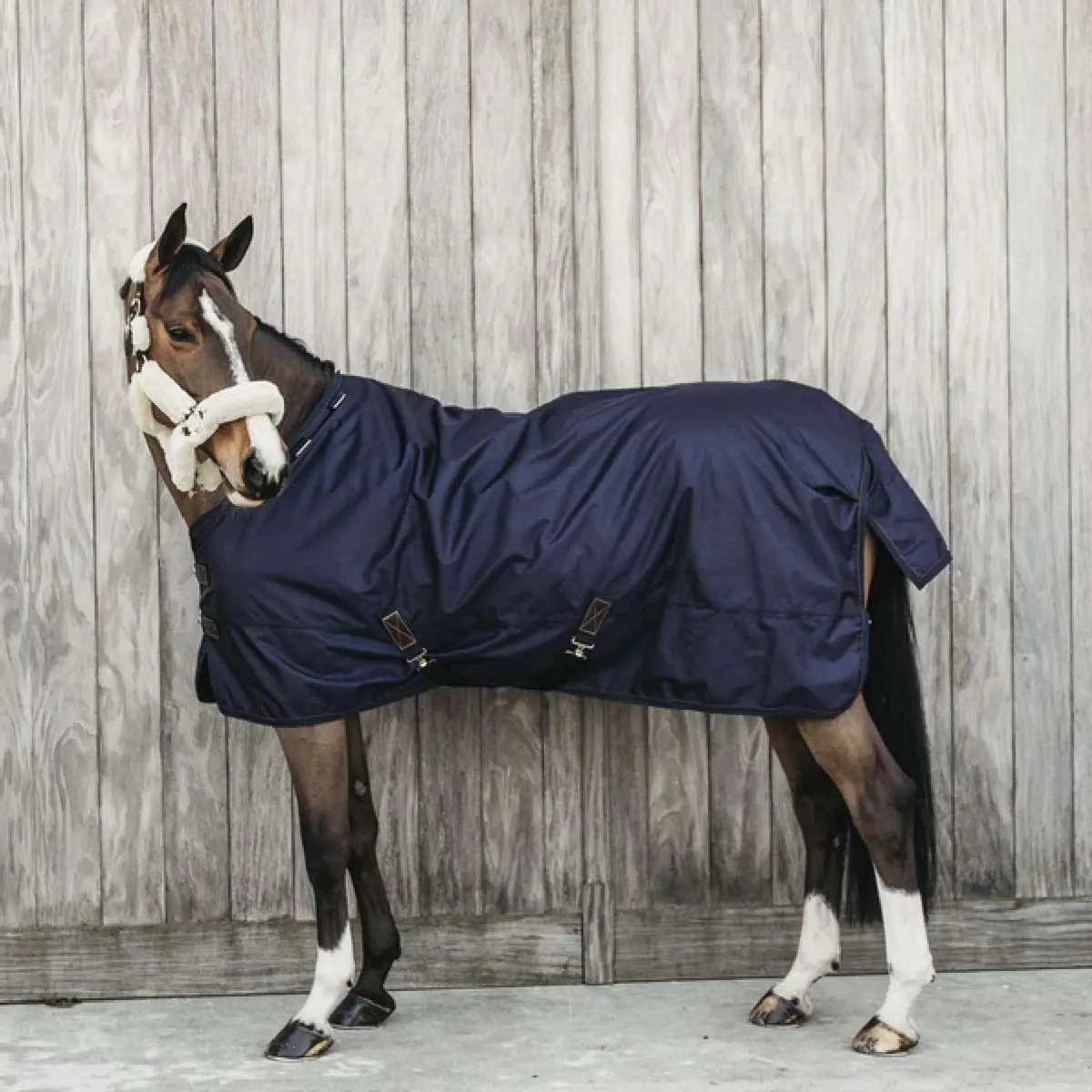 Kentucky Turnout Rug All Weather Waterproof Pro 0G Navy 1