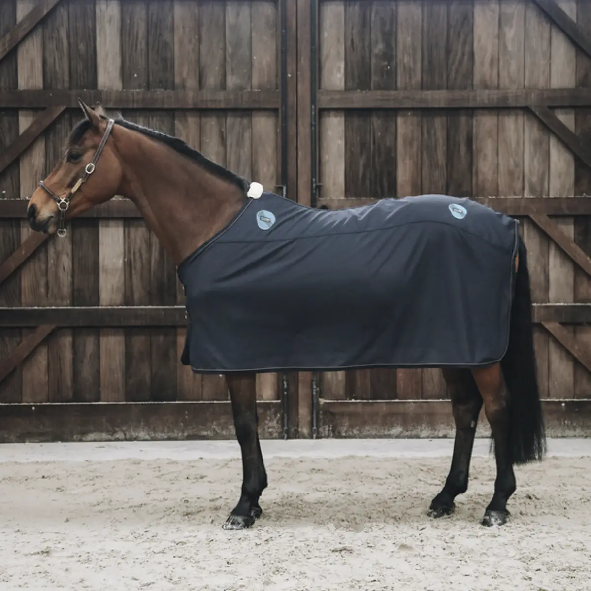 Kentucky Magnetic Rug Recuptex 1