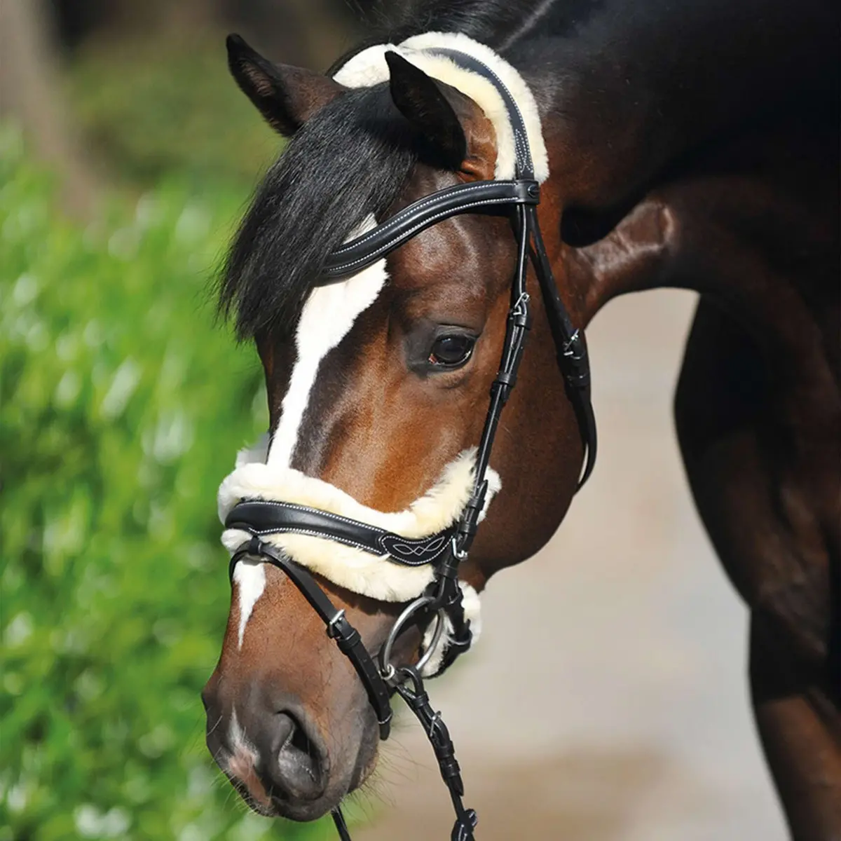 Kavalkade Trenshoofdstel Ivy Lamsvel Bruin 1