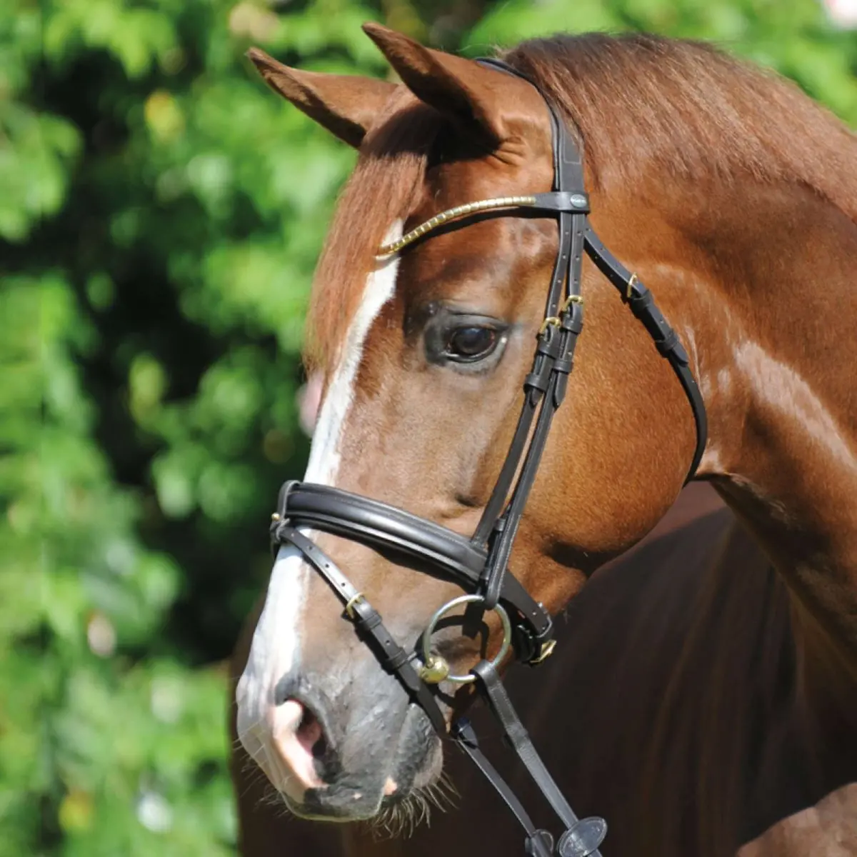 Kavalkade Trenshoofdstel Clinchesse Bruin/Messing 1