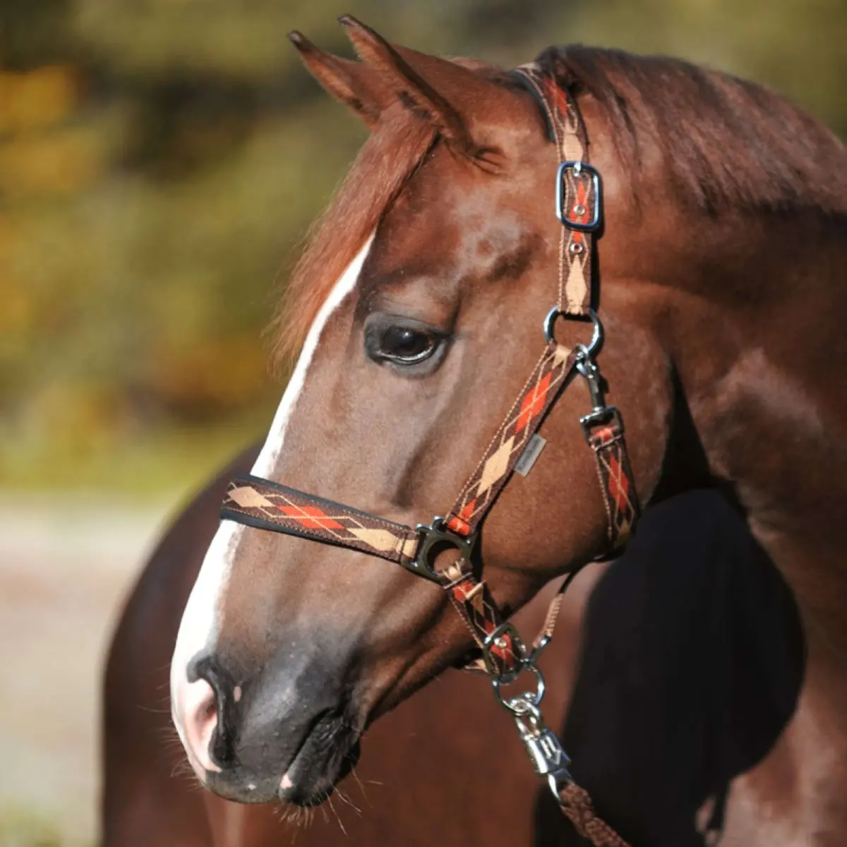 Kavalkade Halster Classic Raute Bruin/Lichtbruin/Orange 1