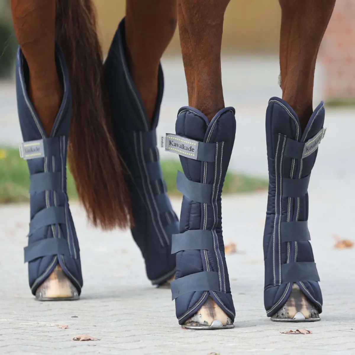 Kavalkade Transportbeschermers Montreal Set Navy 1