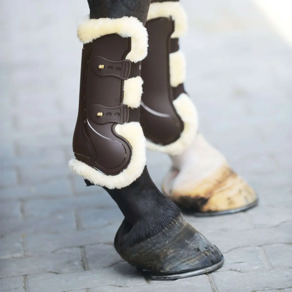 Kavalkade Peesbeschermers Compete 'N Wool Bruin 1