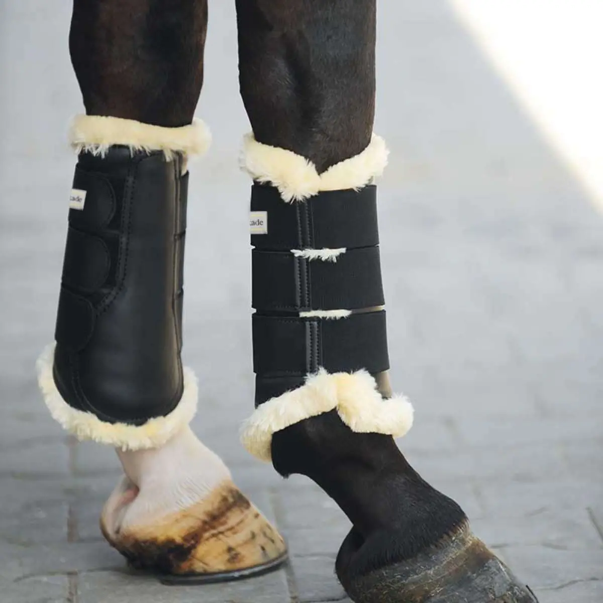 Kavalkade Dressage Boots Show Zwart 1