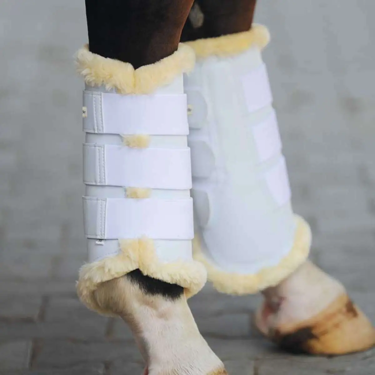 Kavalkade Dressage Boots Show Kunstleder Wit 1