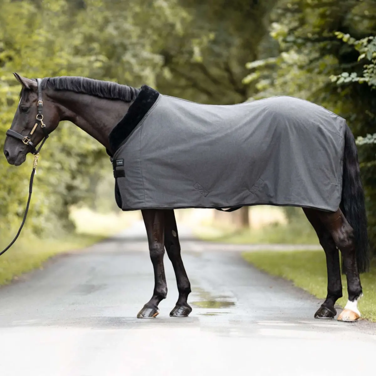 Kavalkade Cooler Elegance Zwart/Grijs 1