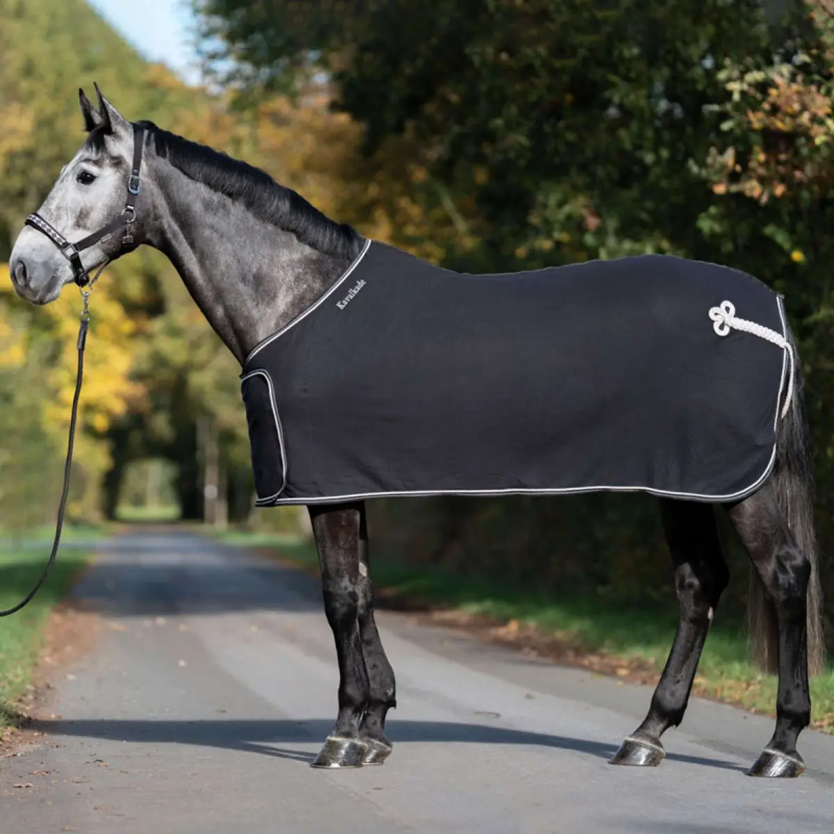Kavalkade Cooler Removable Chest Flap Zwart/Wit 1