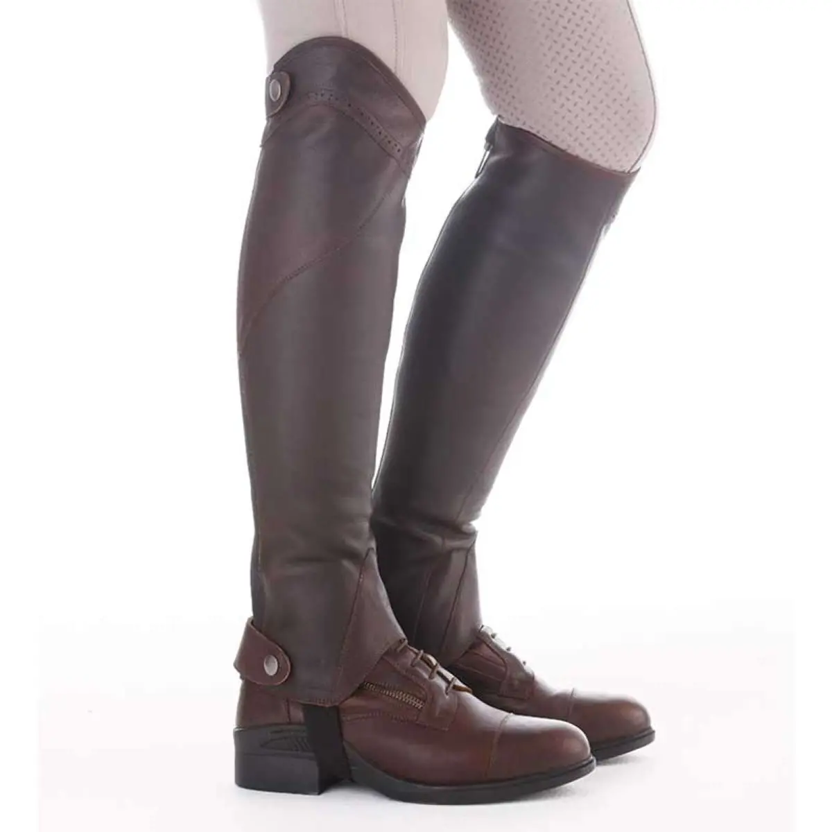 Kavalkade Chaps Remus Bruin 1