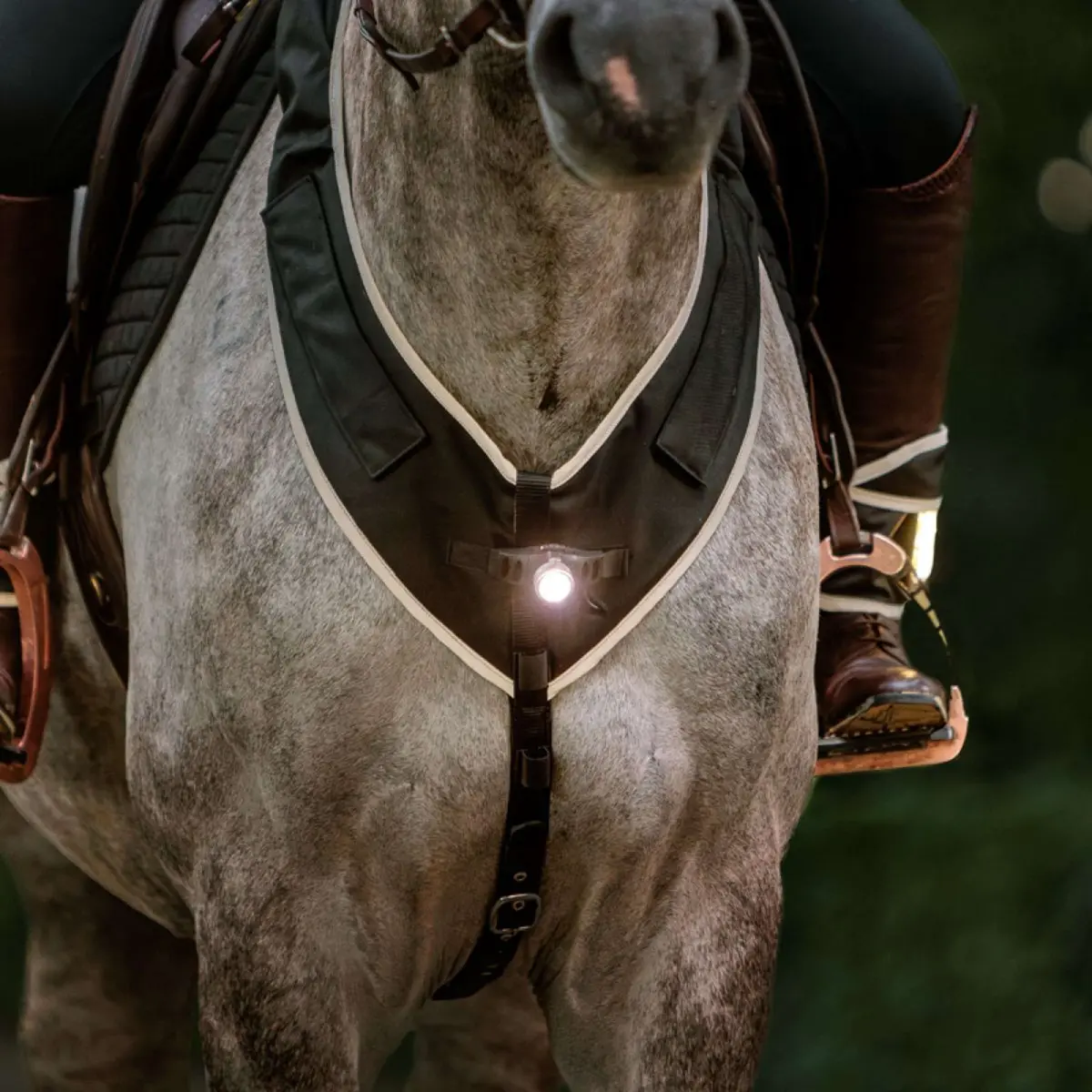 Kavalkade Borsttuig Horselight Zwart/Grijs 1