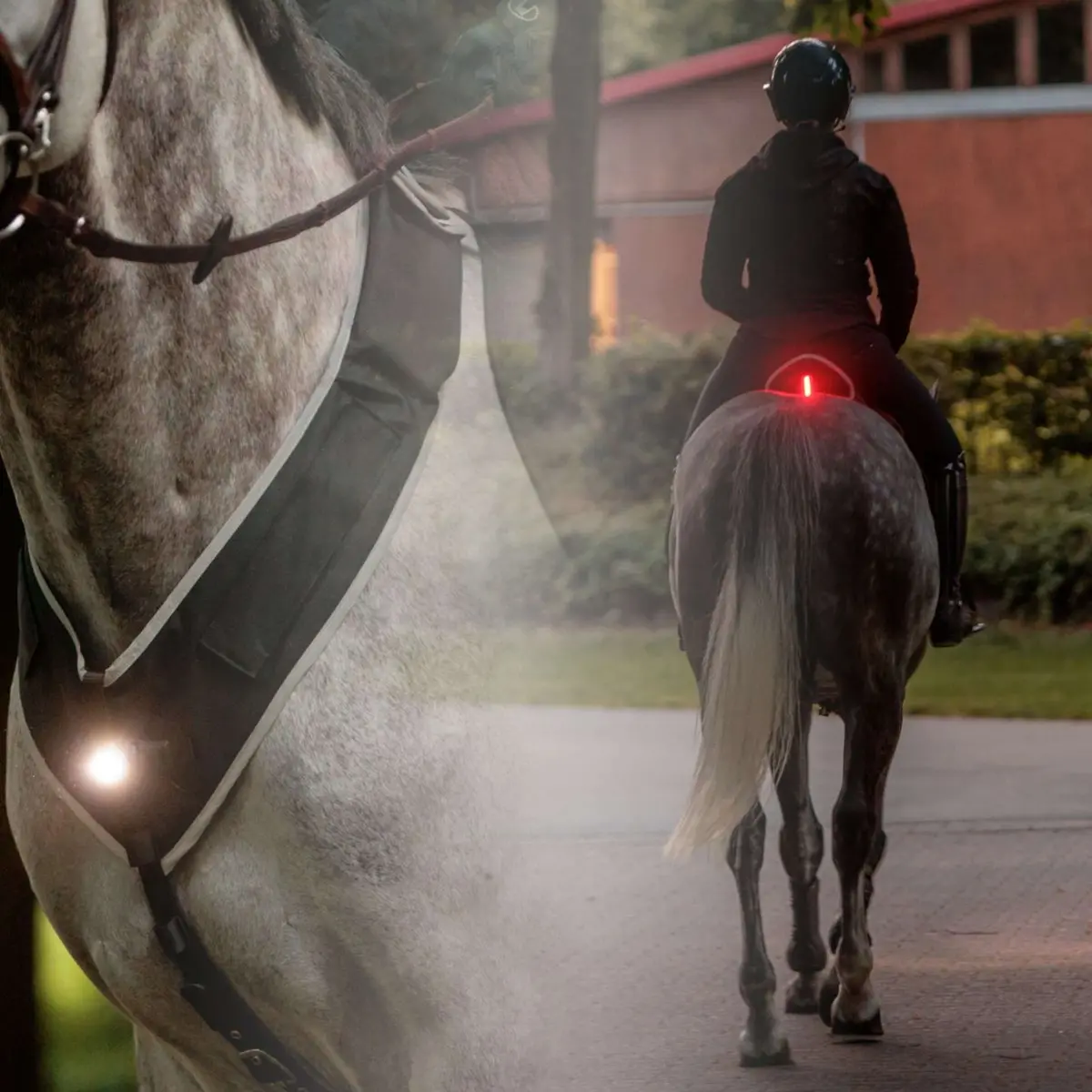 Kavalkade Borsttuig/Zadel Horselight Zwart/Grijs 1