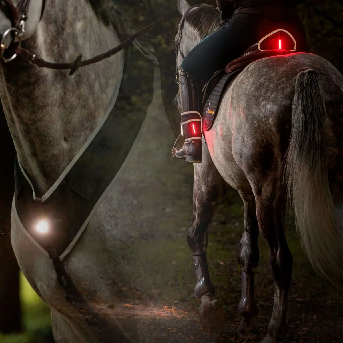 Kavalkade Borsttuig/Zadel/Been Horselight Zwart/Grijs 1