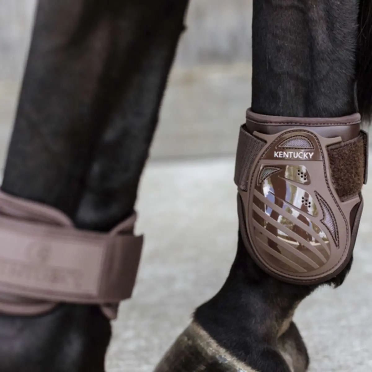 Kentucky Strijklappen Young Horse Bruin 1
