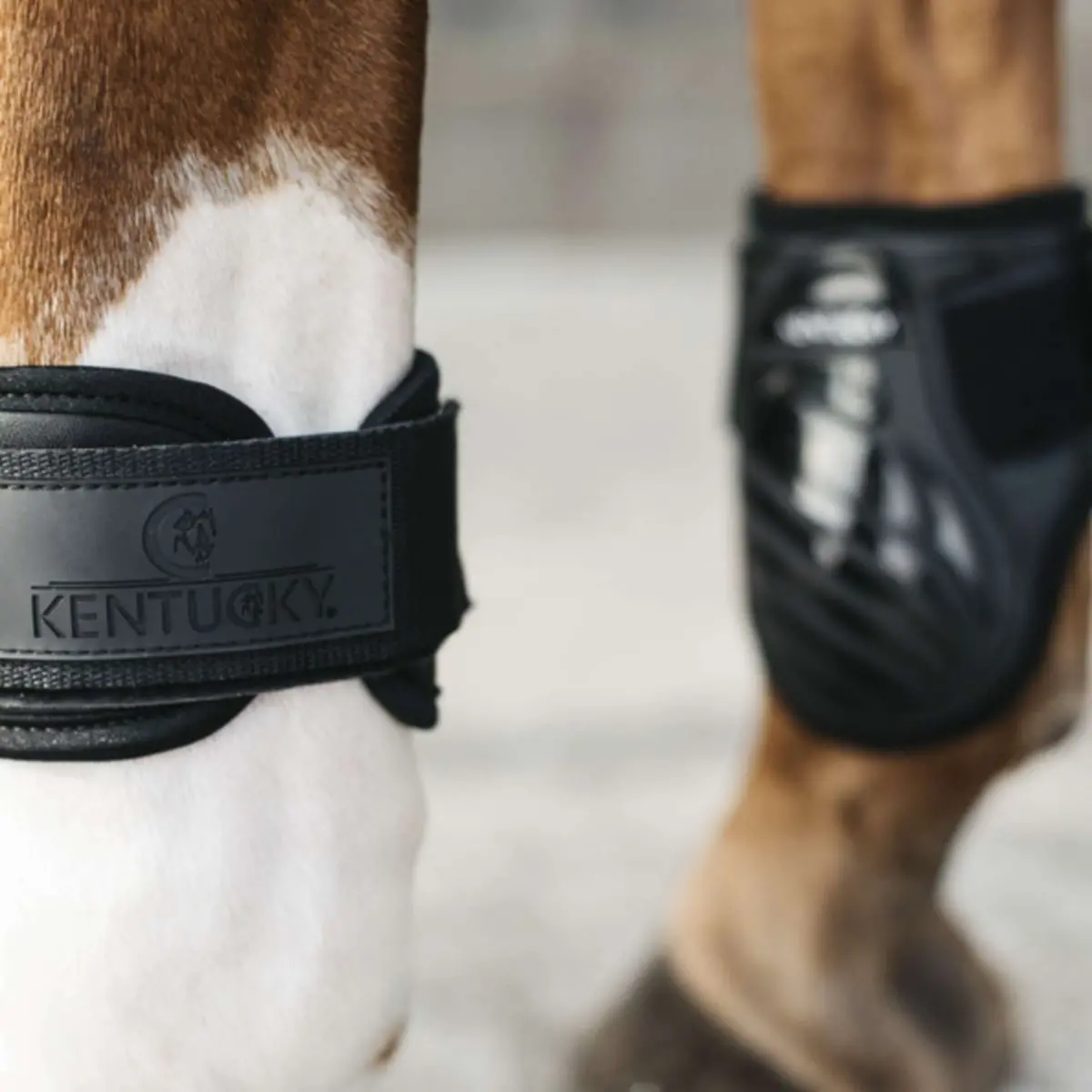 Kentucky Strijklappen Young Horse Zwart 1
