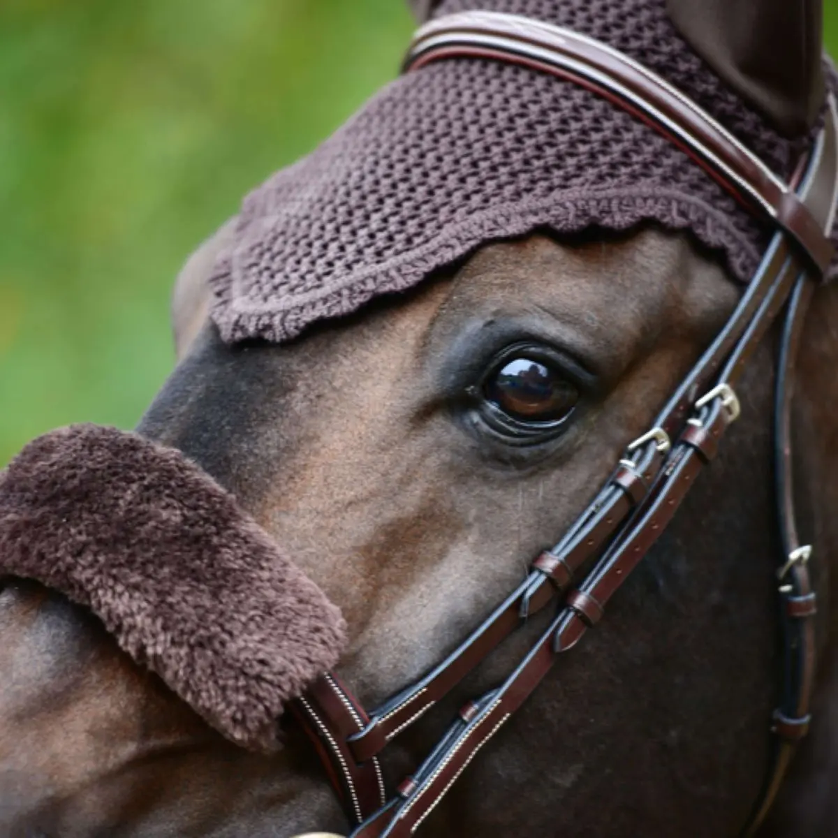 Kentucky Oornetje Soundless Brown 1