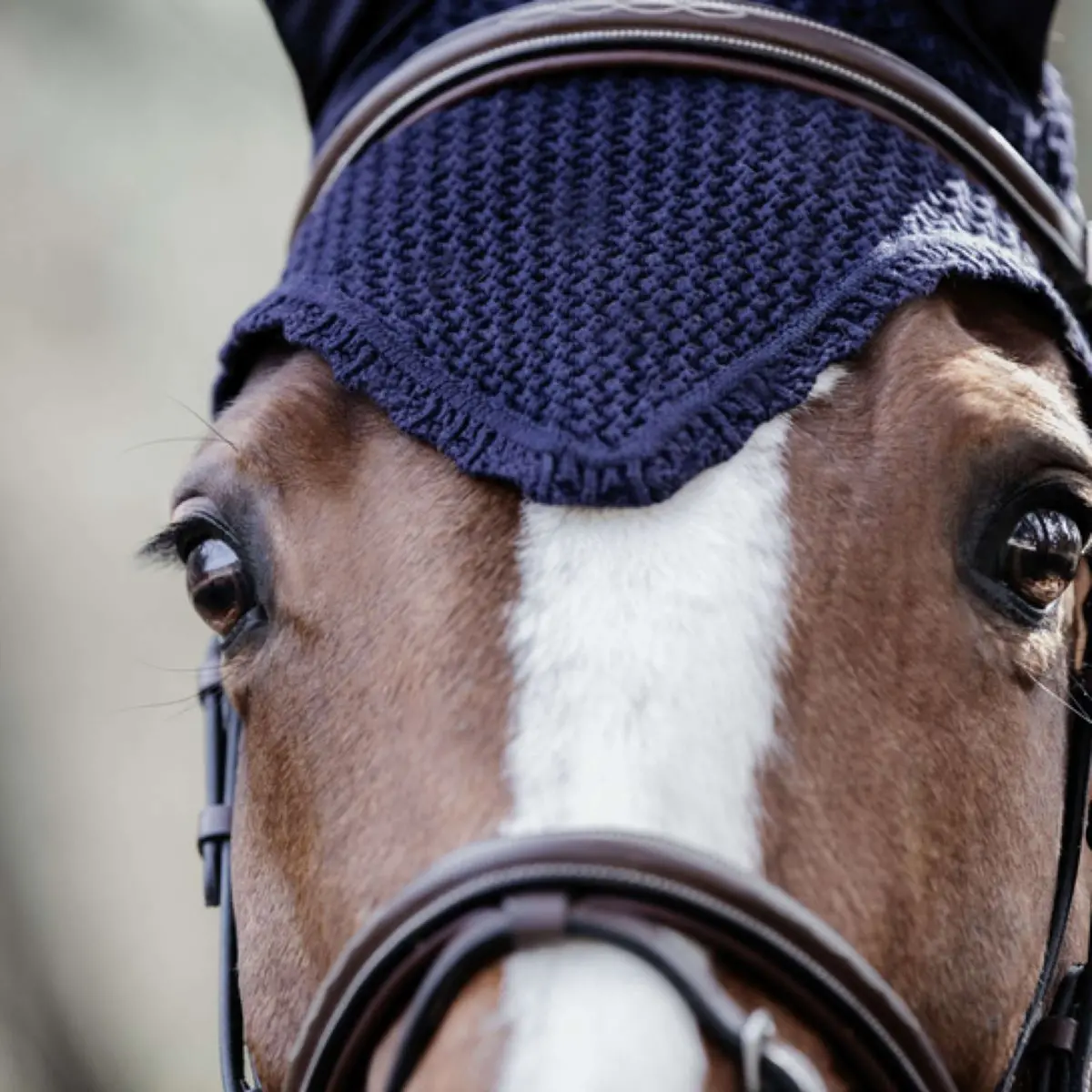 Kentucky Oornetje Soundless Dark Navy 1