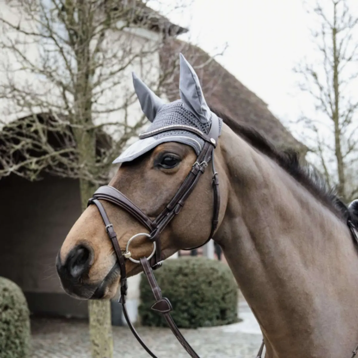Kentucky Oornetje Wellington Basic Velvet Grijs 1