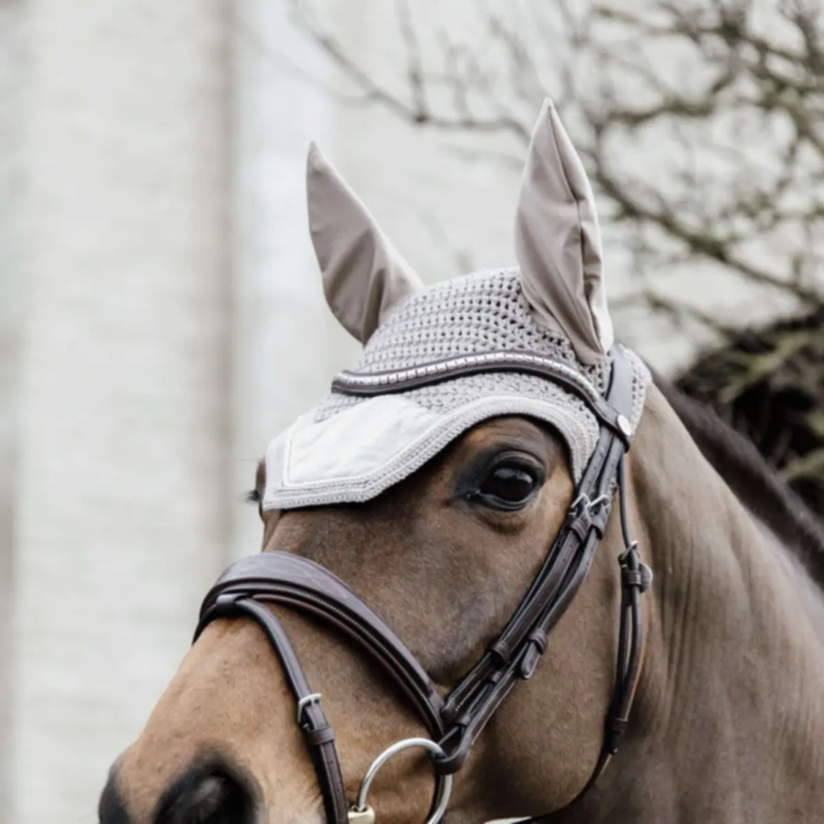 Kentucky Oornetje Wellington Basic Velvet Beige 1