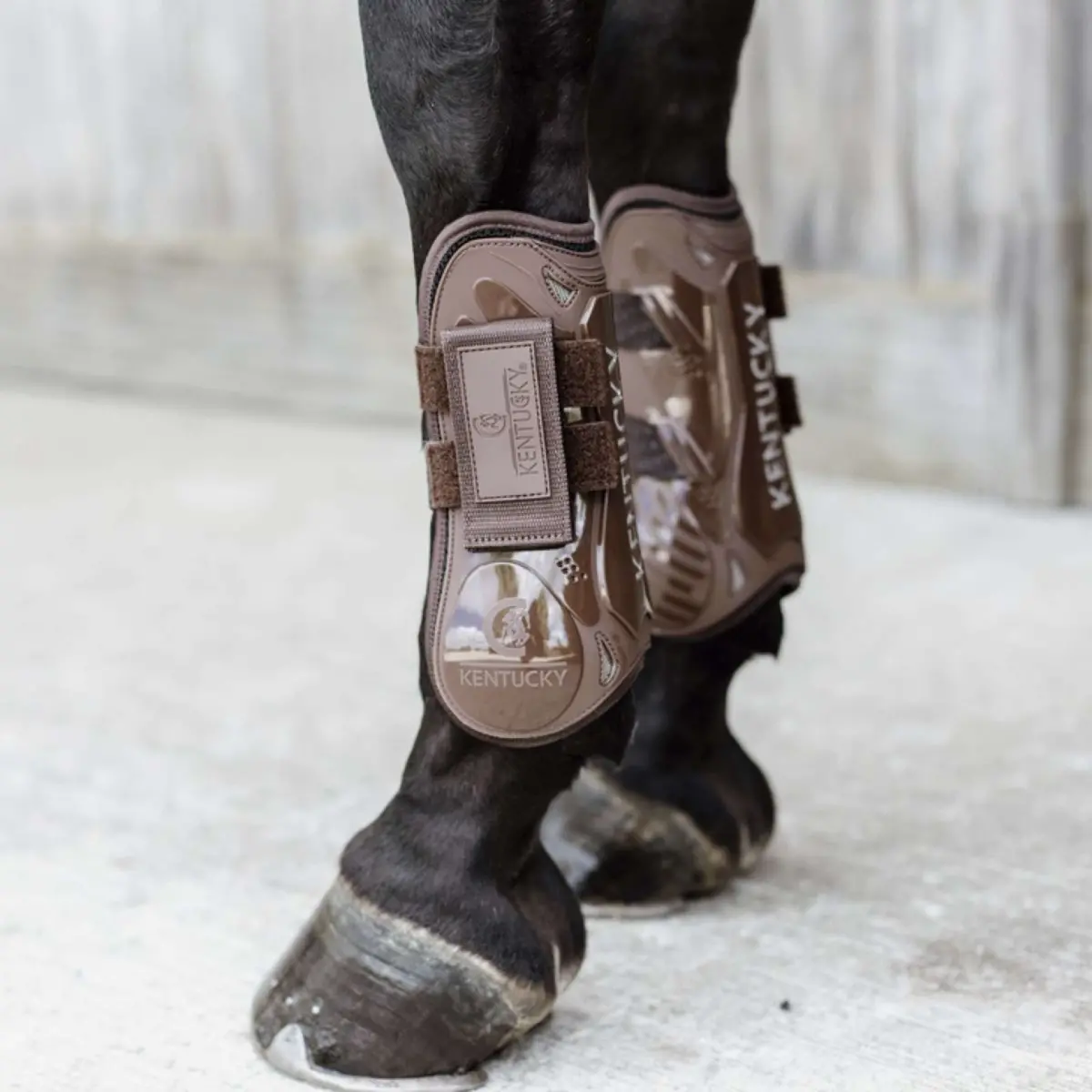 Kentucky Peesbeschermers Velcro Bruin 1