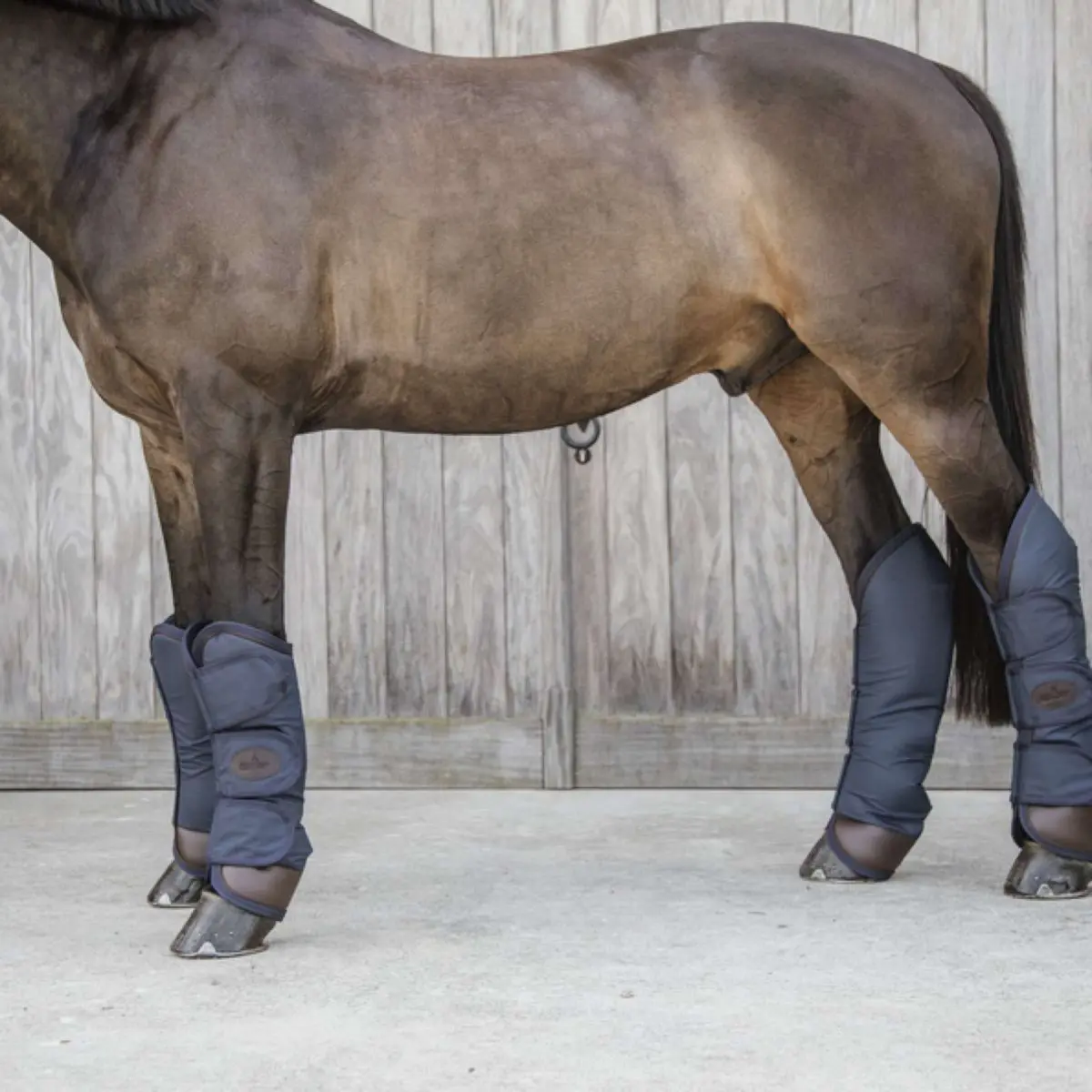 Kentucky Transportbeschermers Navy 1