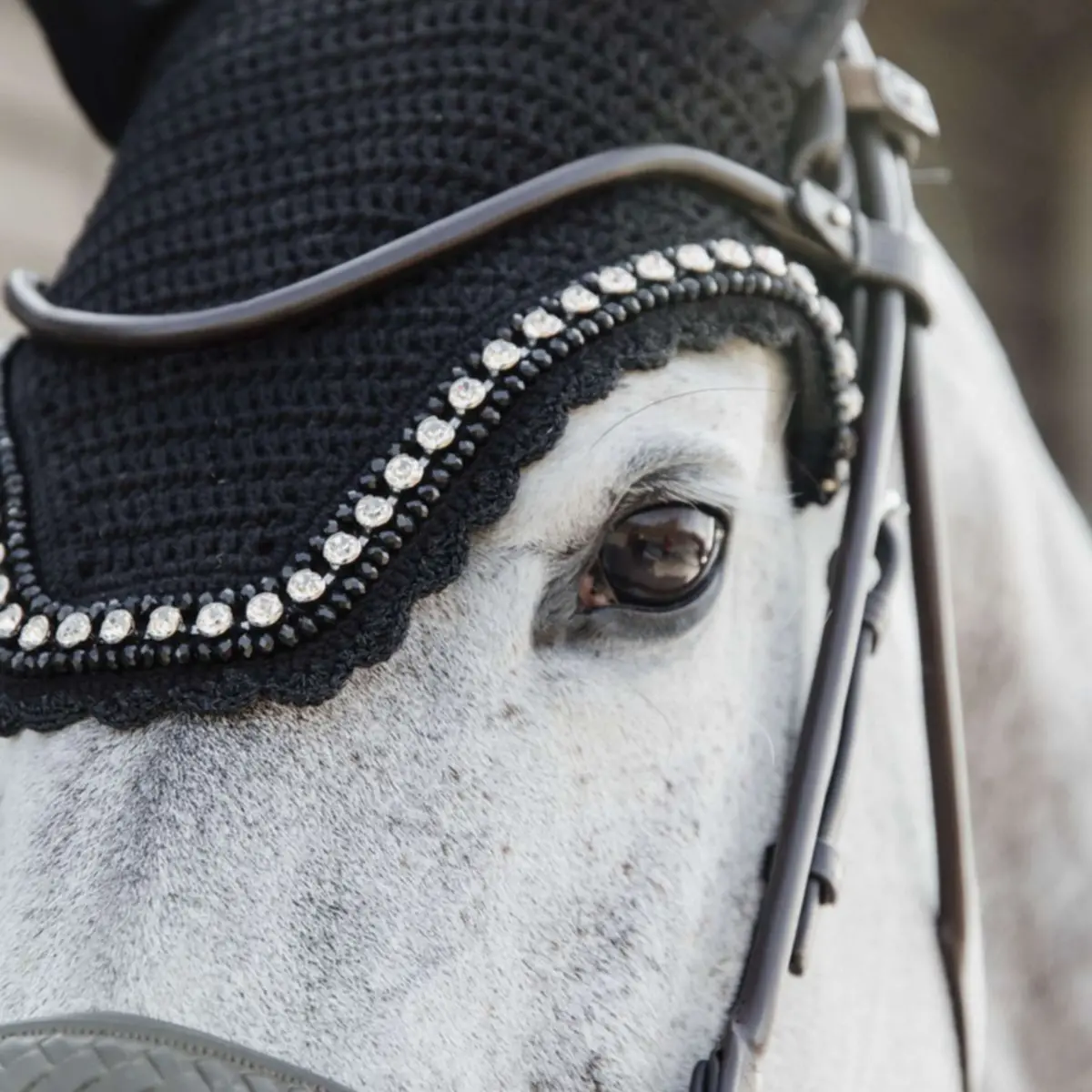 Kentucky Oornetje Wellington Big Stone & Pearl Zwart 1