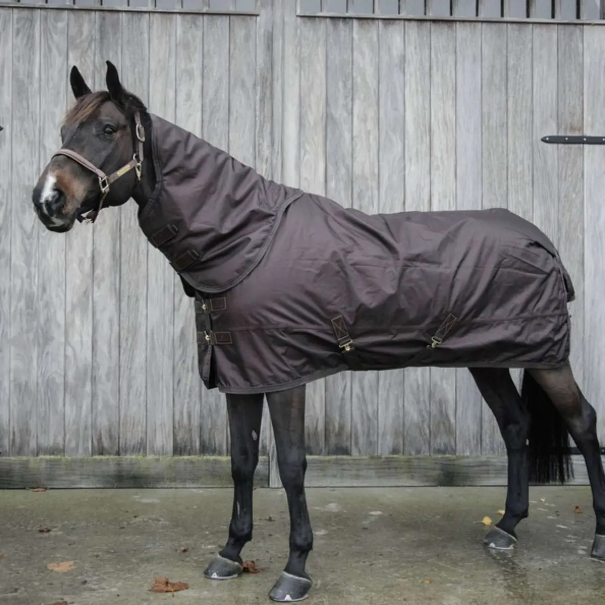 Kentucky Turnout All Weather 160G Bruin 1
