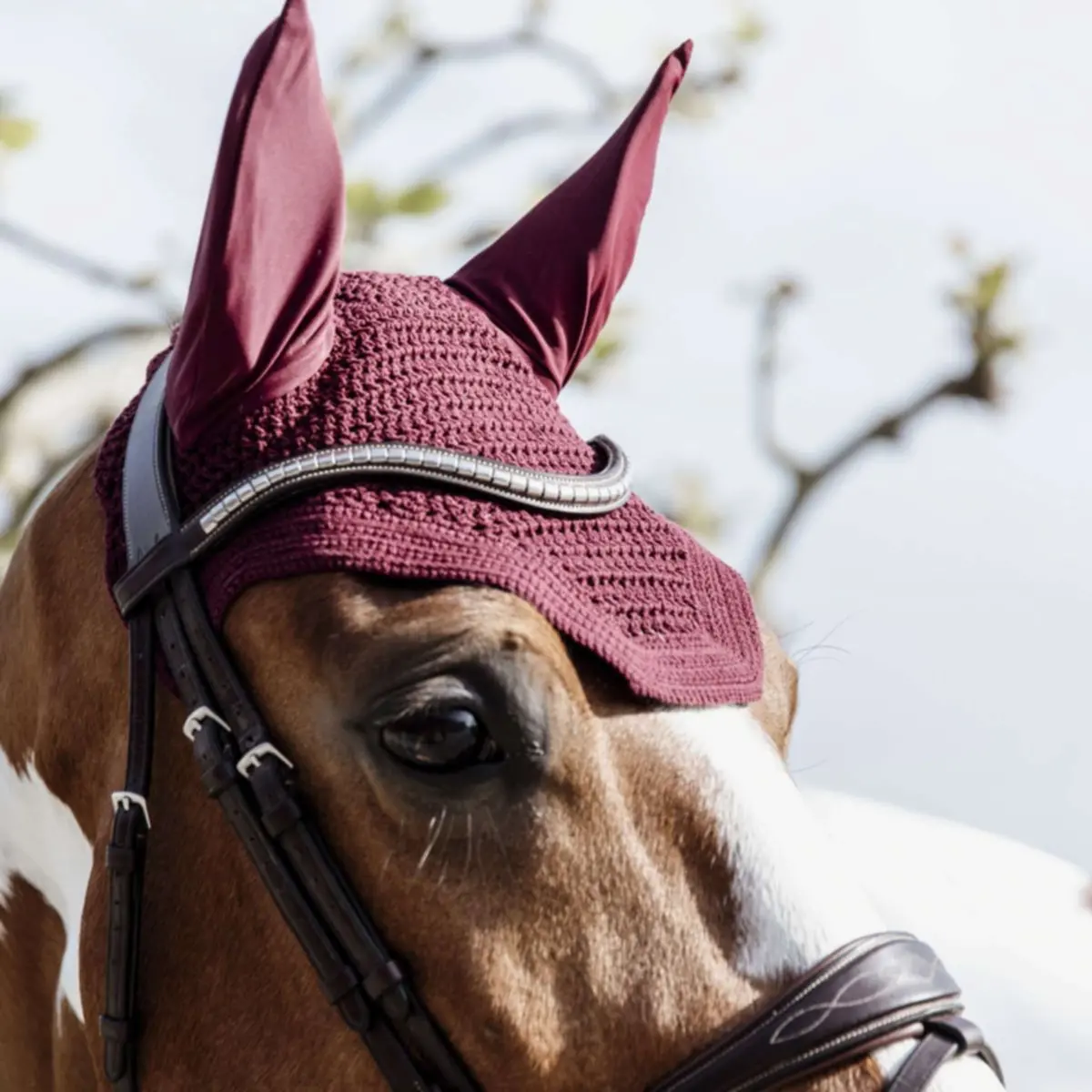 Kentucky Oornetje Wellington Bordeaux 1