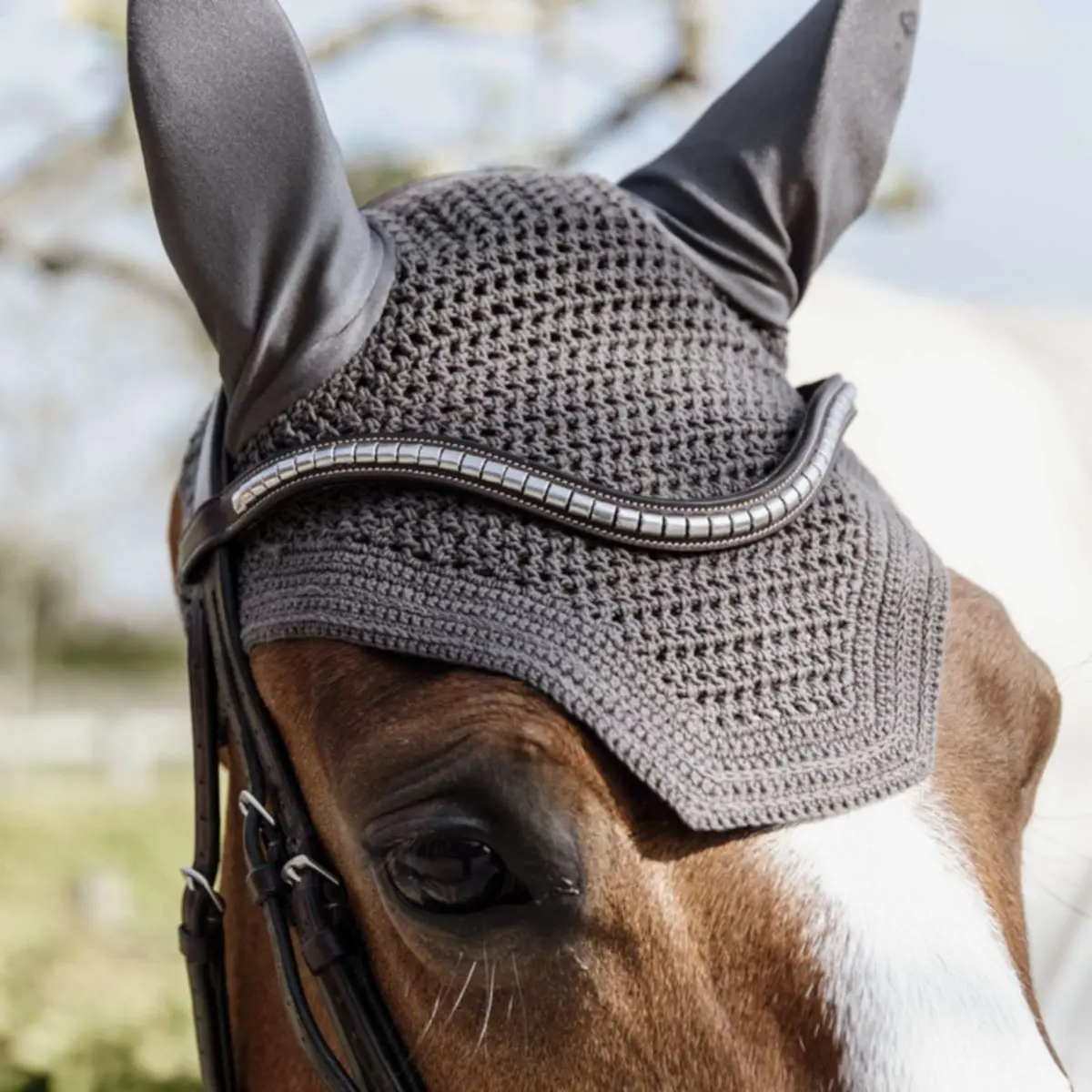 Kentucky Oornetje Wellington Grijs 1