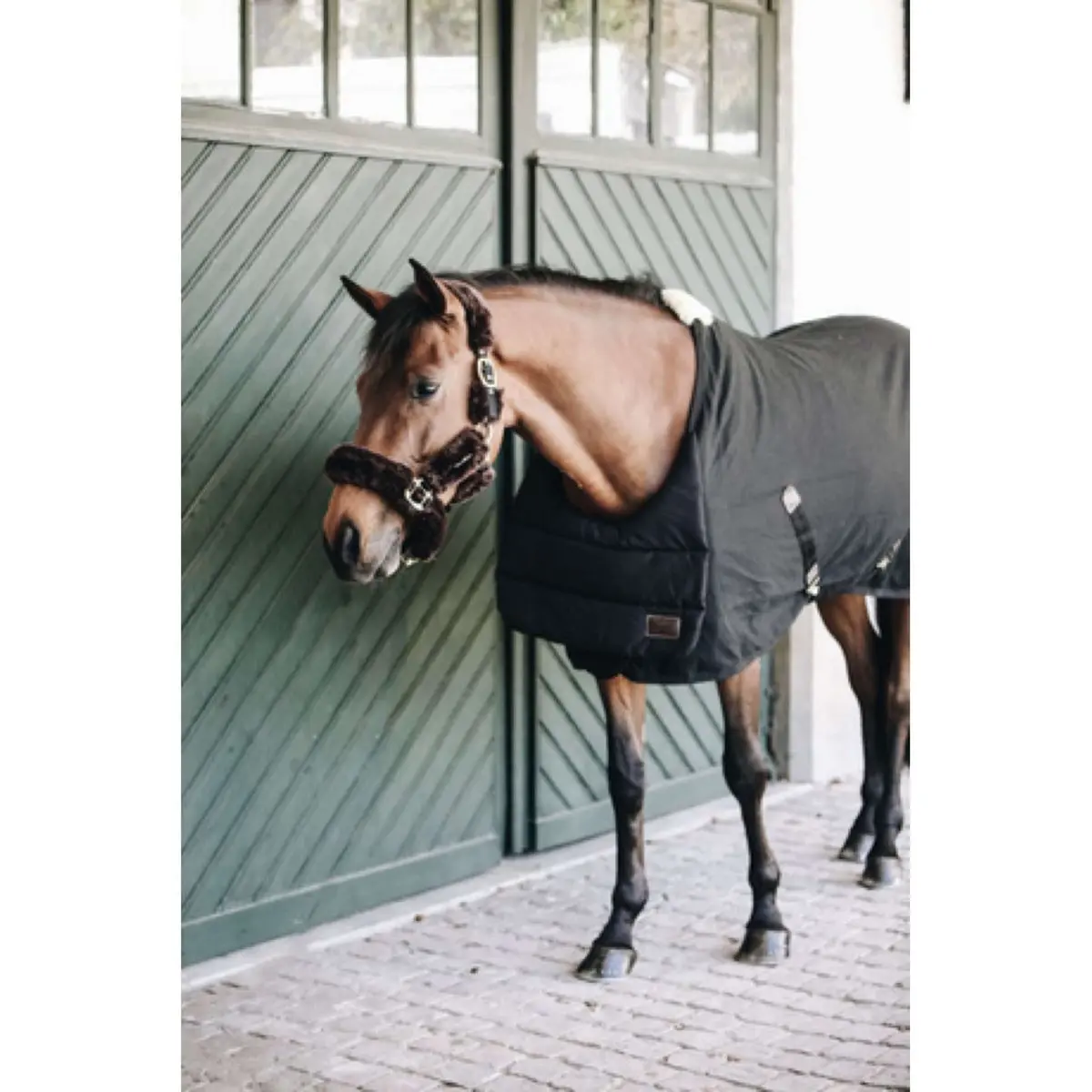 Kentucky Bib Zomer Black 1