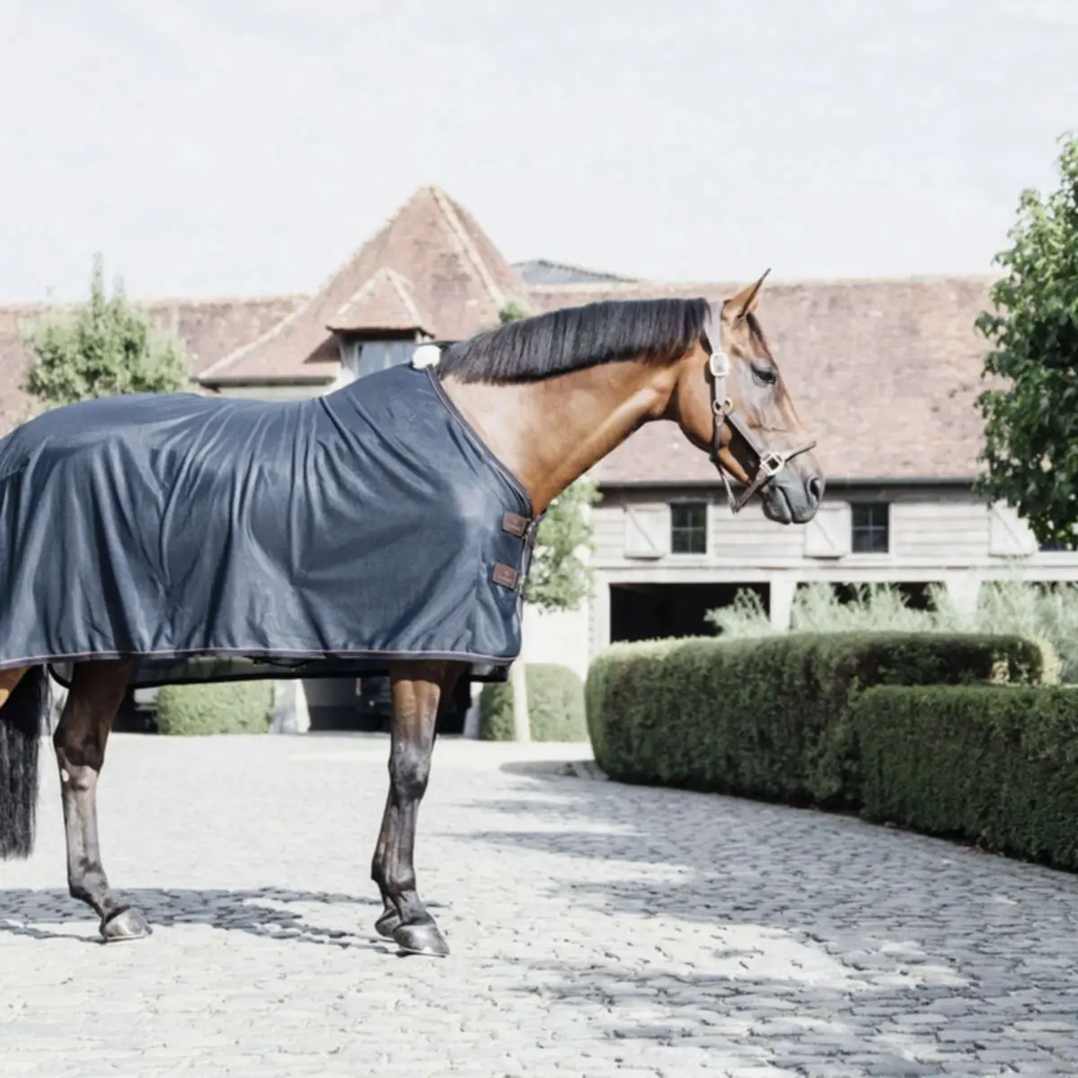 Kentucky Vliegendeken Mesh Navy 1