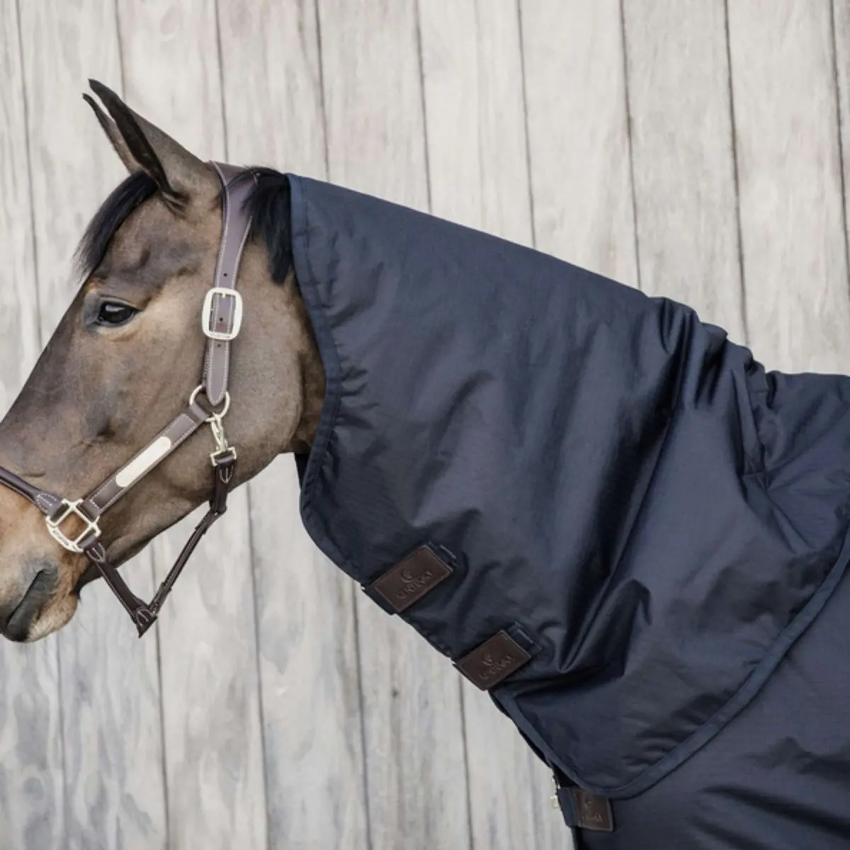 Kentucky Halsstuk All Weather Waterproof Classic 150G Navy 1