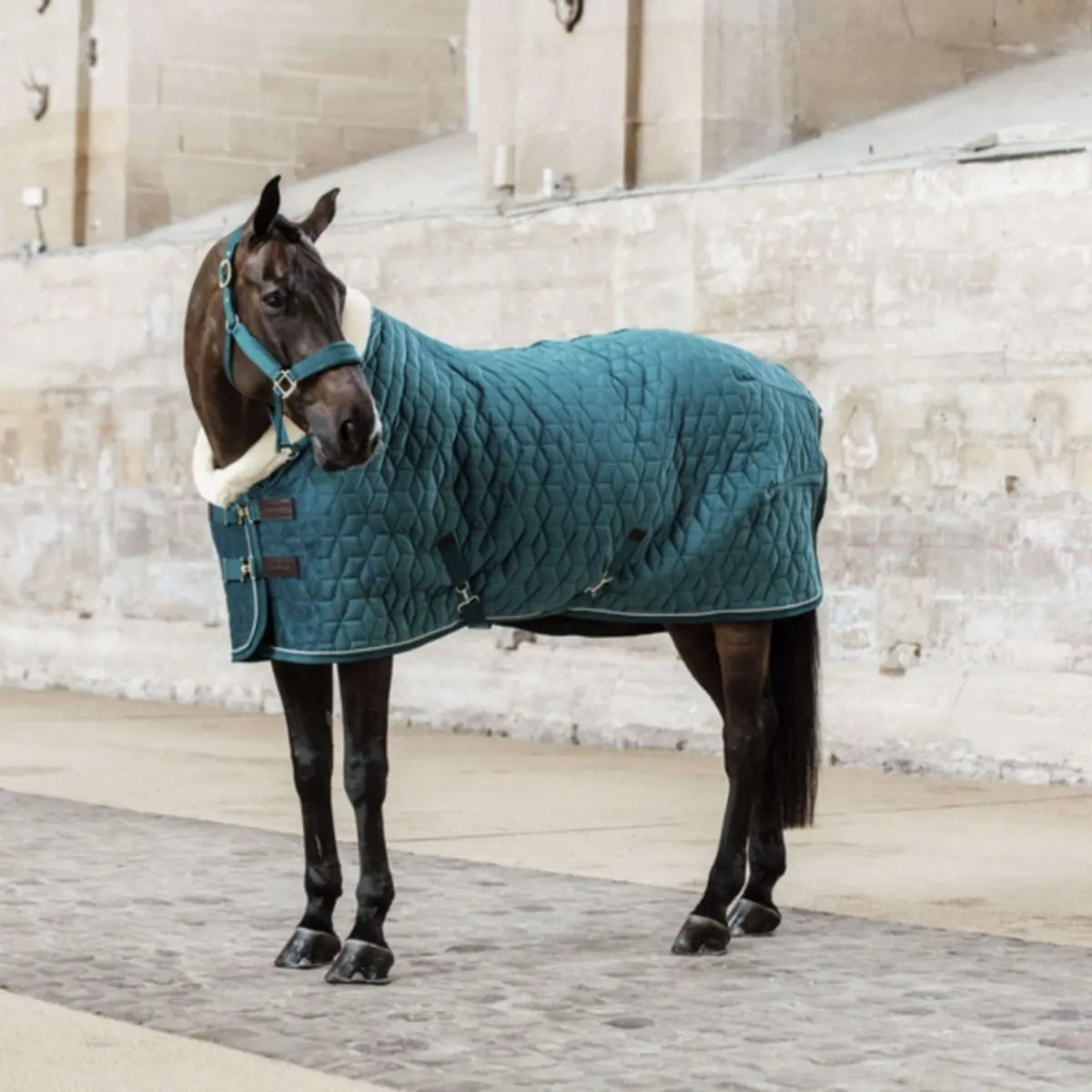 Kentucky Showdeken Velvet 160G Emerald 1