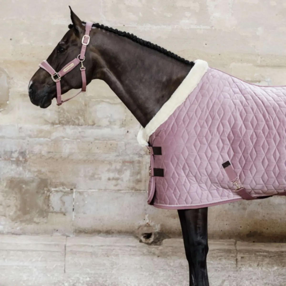 Kentucky Showdeken Velvet 160G Oud Roze 1