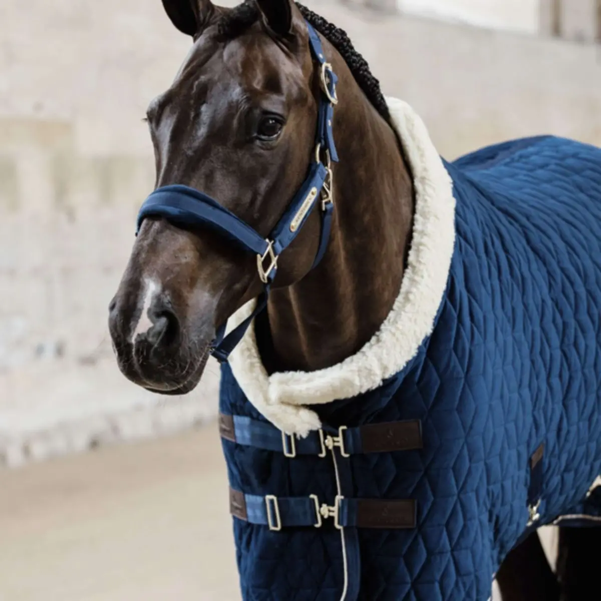 Kentucky Showdeken Velvet 160G Navy 1